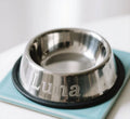 Wholesale 64oz Double 304 Stainless Steel Dog & Bird Bowl Custom Logo Powder Coated with Automatic Feature Packaged Box