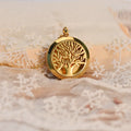 30mm Aromatherapy Perfume Pendant Locket Gold Color Stainless Steel Essential Oil Diffuser Necklace Jewelry for Women Gift