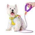 Wholesale Solid Cloud Bubble Cotton Nylon Puppy Walking Harness with Long Leash Durable Dog Cat Rope Soft Sponge Grip