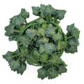 M294 Hot Selling Artificial Ivy Grape Leaves Plants Greenery Garlands Faux Vineyard Vines for Party Garden Wall Decoration
