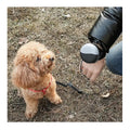 3 Meters Anti-slip Handsfree Comfortable Hand Wrist Wear Lead Strap Extendable Pet Leash Dog Traction Rope for Outdoor Running