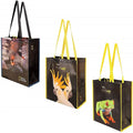 Plain Recycled RPET Water Bottle Bag PET Shopping Laminated RPET Tote Bag for Girls Shopping Tote Handle 100 Pcs Letter 3-5 Days