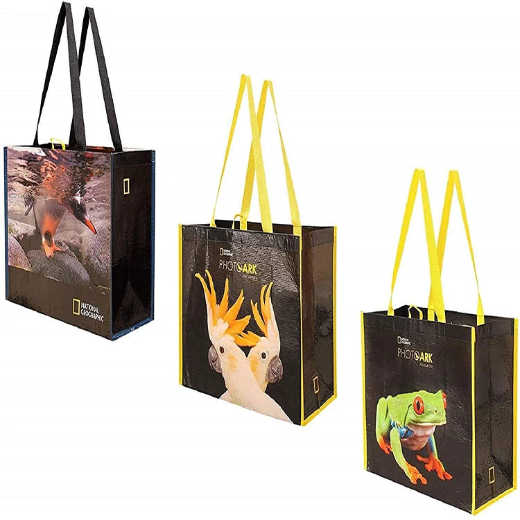 Plain Recycled RPET Water Bottle Bag PET Shopping Laminated RPET Tote Bag for Girls Shopping Tote Handle 100 Pcs Letter 3-5 Days