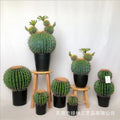 Large Artificial Cactus Ball Plastic Echinopsis Tubiflora Bonsai for Wedding Decorations