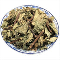 Wholesale Dried Polygonum Chinense Plants Creeping Smartweed Chinese Knotweed for Sale