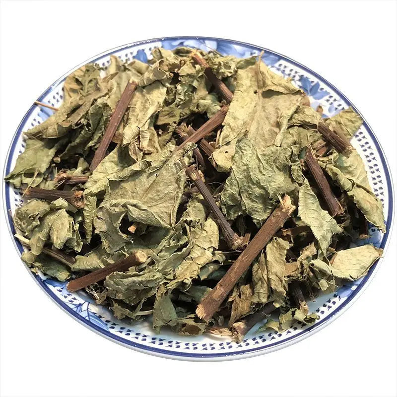 Wholesale Dried Polygonum Chinense Plants Creeping Smartweed Chinese Knotweed for Sale