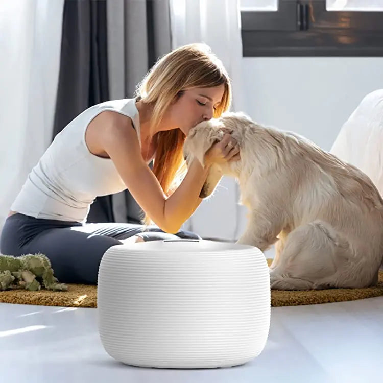 Cat Water Fountain Automatic Pet Water Fountain 84oz/2.5L Cat Water Dispenser with 1 Replacement Filter for Cats and Dogs