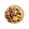 Yuan mo Wild Panellus Serotinus Forest Late oyster Dried Panellus Serotinus Mushrooms for Food