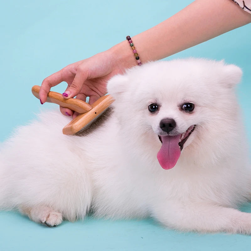 Truelove Wholesale Eco-friendly Wooden Slicker Long Hair Remover Massage Pet Brush for Dog Cat Comb Grooming Tools Accessories