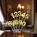 Customizable Party Number Candles for Birthday Cakes & Events