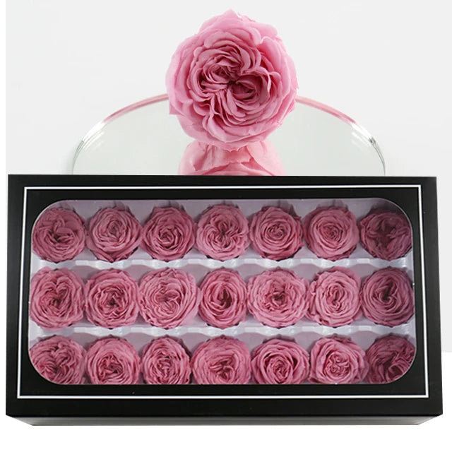 Austin Rose Head Mini Grade 2-3cm Real Touch Eternal Flowers Bud Every for Love Preserved Rosen Box for Christmas Mother's Day