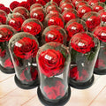 Eternal Rose Flowers Morthers Day Everlasting  Preserved Flower Forever Roses in Glass Dome Led