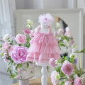 New Beautiful Lace Pet Princess Skirt Cat and Dog Clothing