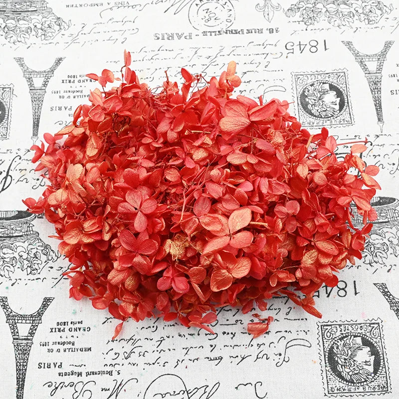 Wholesale Preserved  Dried Hydrangea  Eternal Flowers for DIY Gift Box Decoration Accessories