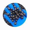 SD Brand Best IQF Frozen Blueberries Common Preserved with Water Wholesale Bulk Packaging