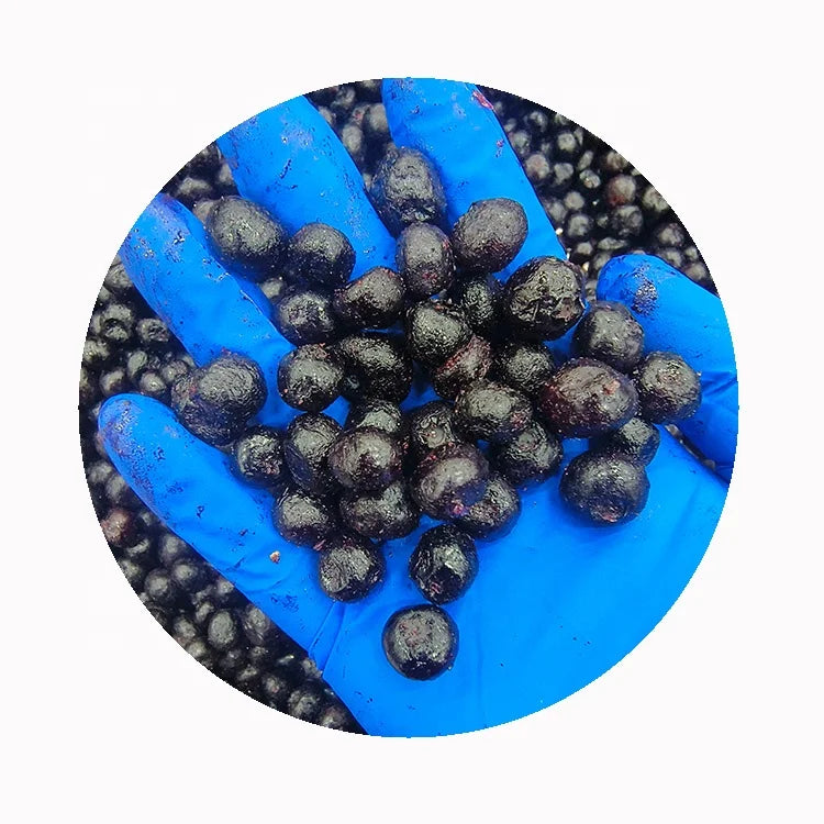 SD Brand Best IQF Frozen Blueberries Common Preserved with Water Wholesale Bulk Packaging