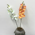 M574 Wedding Flowers Greenery Long Branch Arrangement Artificial butterfly Orchids Phalaenopsis Silk Real Touch Flowers