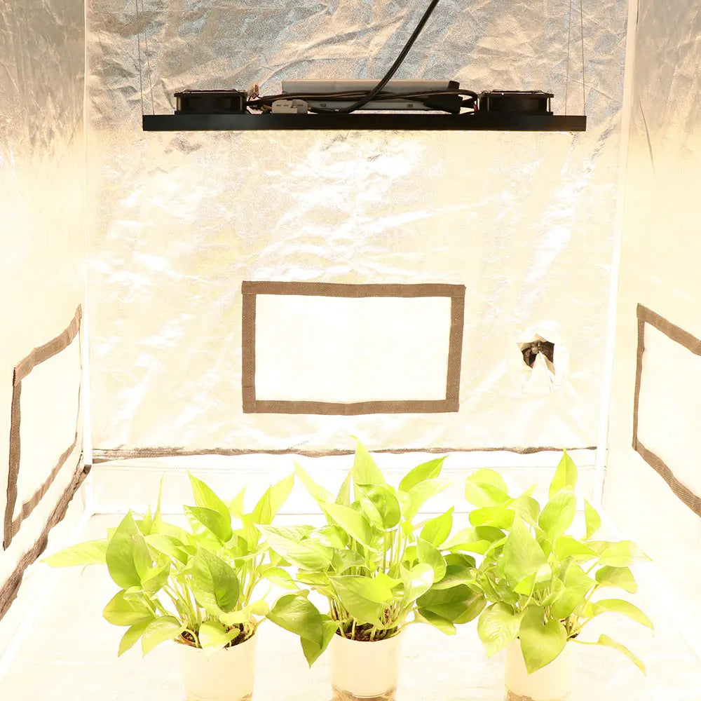 Yxo Plant Grow Led Light Dimmable 1000w Lm282B Uv Hydro Greenhouse Growing Led Light for Plant Growth 720w Led Grow Light