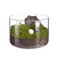 Artificial Plants in Geometric Glass Pots Succulent Plant Terrarium Container Flower Pots Micro Landscape Glass Vase
