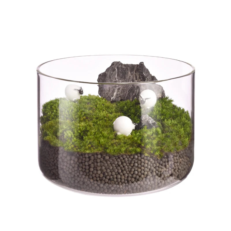 Artificial Plants in Geometric Glass Pots Succulent Plant Terrarium Container Flower Pots Micro Landscape Glass Vase
