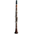 17-Keys Bb Instrument Rosewood Clarinet with Nickel Plating
