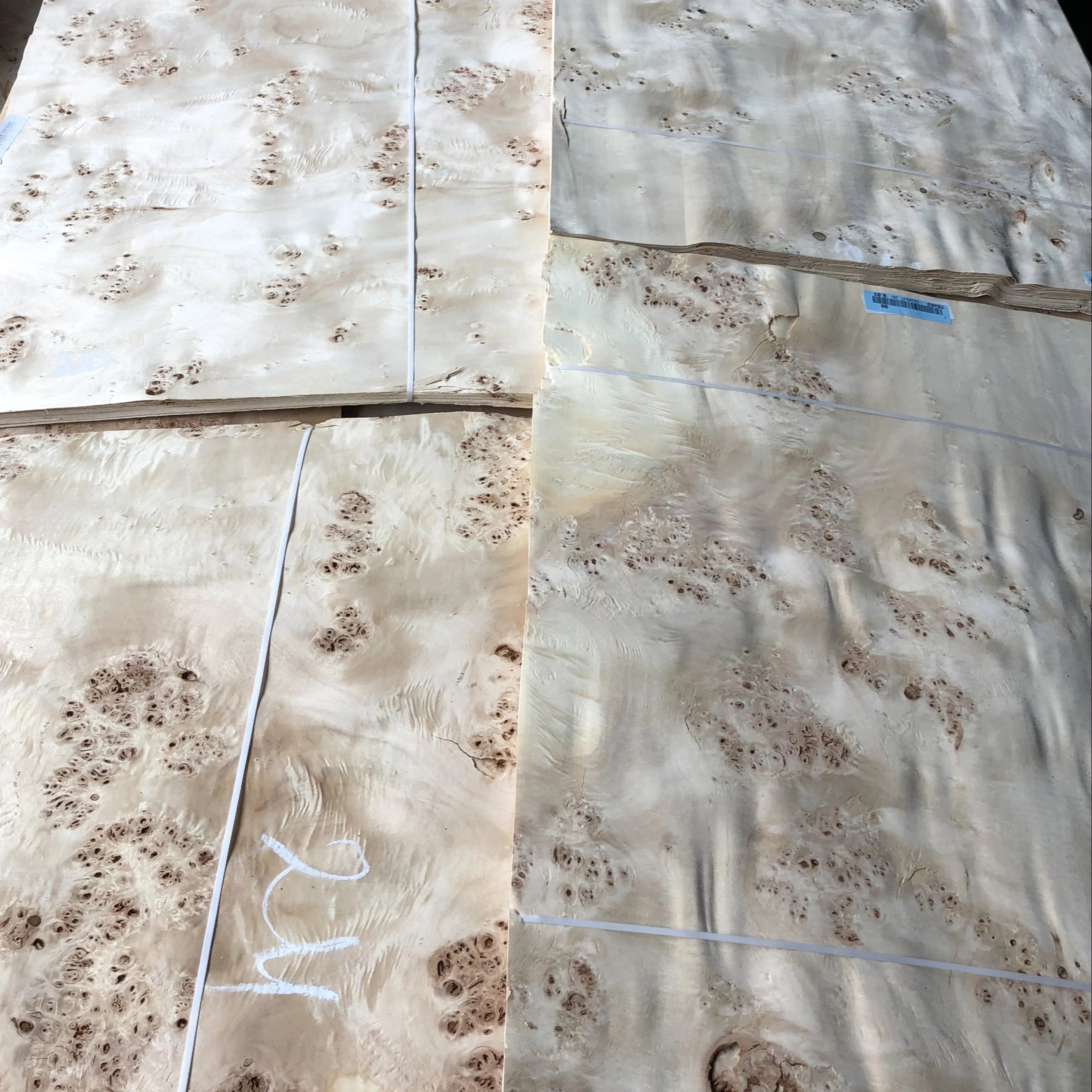 Wholesale AA Grade Natural Mappa Burl Veneers Sheet Burl Wood Veneer Mappa Burl Veneer Plywood Flooring