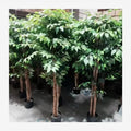 Fake Tree Wholesale Cheap 3ft 6ft Home Indoor Decoration Plastic Long Artificial Ficus Banyan Tree Plant