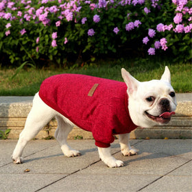 Modern Designs Winter Coats Dogs Warm Wool Sweater Cute Dog Clothes for Pet