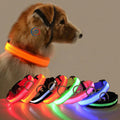 Limited Time Offer Air Tag Dog Collar Eco-Friendly Pet Cat Training Led Dog Collars
