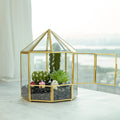 Tabletop Miniature Fairy Garden Decor Display Round Shape Geometric Succulent Terrarium Gold Glass Terrariums with Door