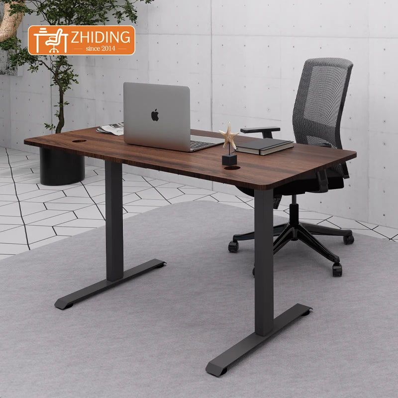 Modern Ergonomic Single Motor Standing Desk for Home Office New Adjustable Furniture Extendable Frame Comfortable Workstation
