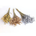 Hot Selling Dried Flowers Wedding Home Decor Natural Plant Eucalyptus Cotton Christmas