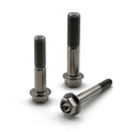 Titanium Alloy Fastener M6 M8 M10 DIN 6921 Titanium Screw Hex Washer Head Flange Bolt