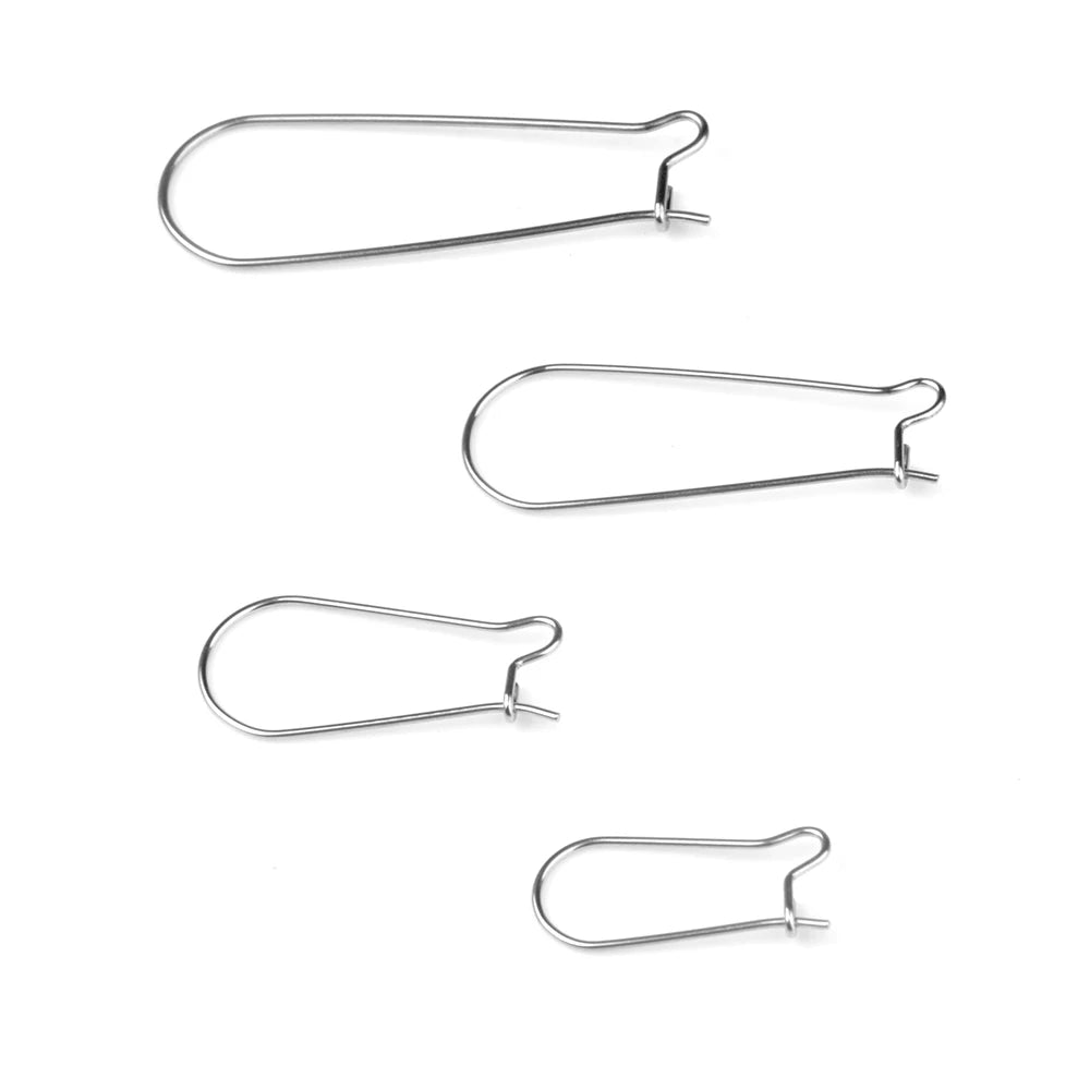 Wholesale Stainless Steel Hook Ear Wires Earring for DIY Jewelry Making Accessories
