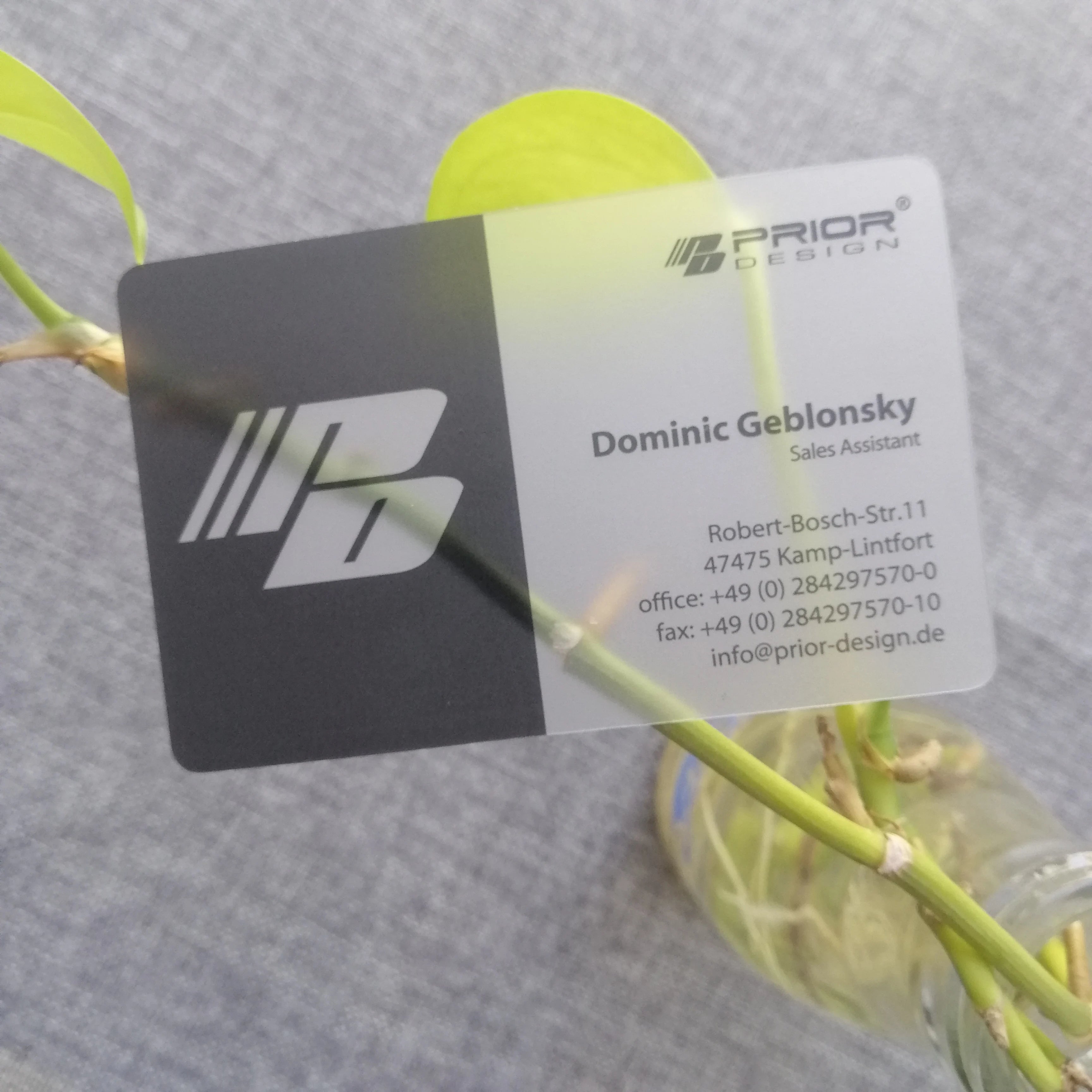 Factory Price Transparent Plastic Business Cards CMYK Color Customized Offset Printing Hot Stamping Surface Finish 0.38mm