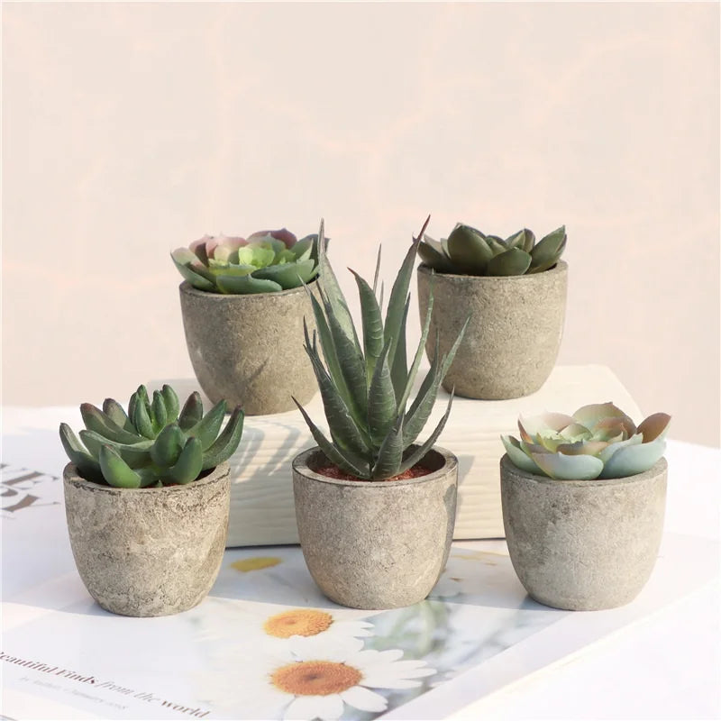 Small Artificial Succulent Pots Mini Flower Arrangement Decorations for Home and Christmas Occasions
