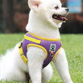 Wholes Stocked No-pull Step Padded Curly Vest Harness Air-mesh Dog Harness Pet Vest