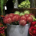 Qq321 Good Quality Artificial Plant Branch Green Red Wedding Decoration Plastic Flower Home Decoration Plant