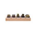 Creative Mini 10-Grid Eco-Friendly Modern Ceramic Box Set Self-Watering Drainage Hole Live Succulents Flower Pot Garden Home