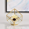 Wholesale Irregular Glass Gold Geometric Terrarium for Tabletop Succulent Plant Planter