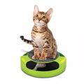 Cat Mouse Chase Toys Catch Moving Running Mice Pad Round Plate Toy Cat Scratch Turntable Toy With Rotating Mouse Plush Non-slip