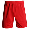 Men's Casual Soccer & Basketball Shorts Hot Sale Factory Wholesale Price Breathable Polyester Fabric Mesh Sweatshirt