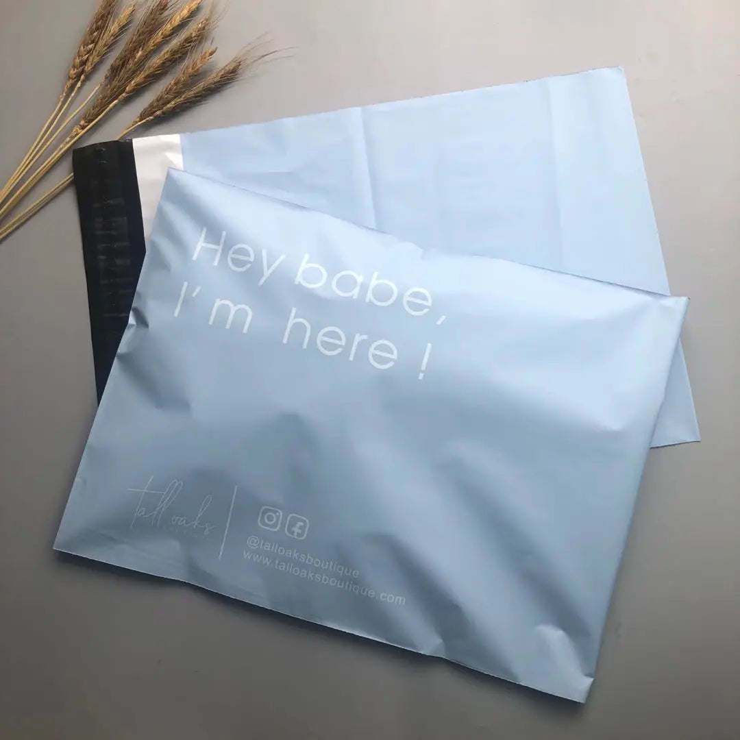 Biodegradable Matte Blue Express Bag Plastic Polybag Postage Mailing Envelope Shipping Poly Mailers for Clothes Online