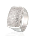 Men's Fashion Jewelry Compass Rings 14Kt White Gold S925 Silver Fingers Ring for Men