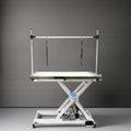 Customizable Portable Stainless Steel Rubber Wood Bathtub Hydraulic Lift Beauty Dog Grooming Table Pet Hair PP Brushes