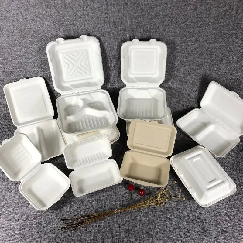 Disposable Biodegradable Eco Friendly Food Packaging Tableware Lunch Box Sugarcane Bagasse Fast Food Containers with Lid