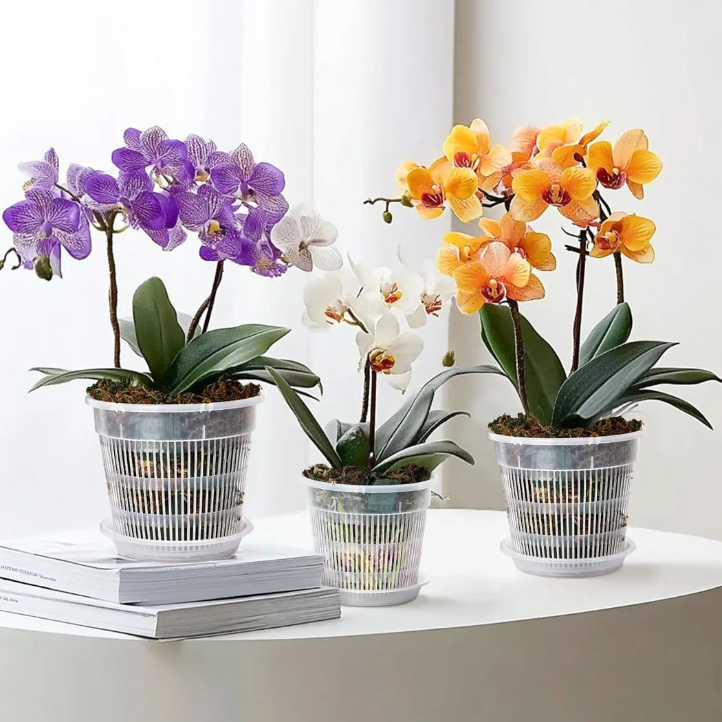Modern Clear PP Plastic Orchid Pots Slotted Ventilation Matching Saucer Durable Self-Watering Indoor Nursery Containers