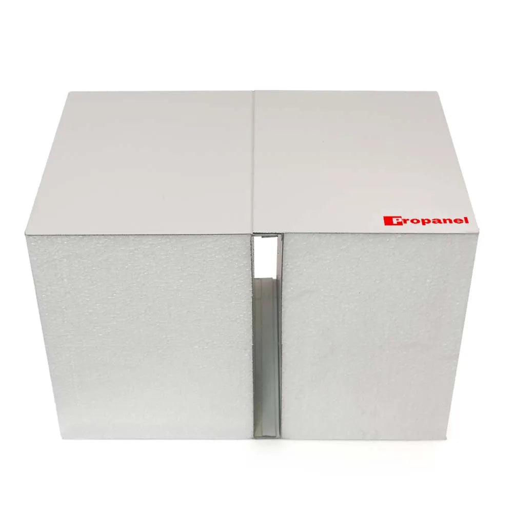 100mm EPS Sandwich Wall Panel for Cold Room Workshop Hotel Prefab Houses Warehouse-Fire Resistant Eco-Friendly Class B1