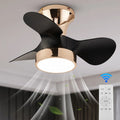 Smart Nordic Ceiling Fan With Led Light  Living Room  Dining Room Inverter Fan Light