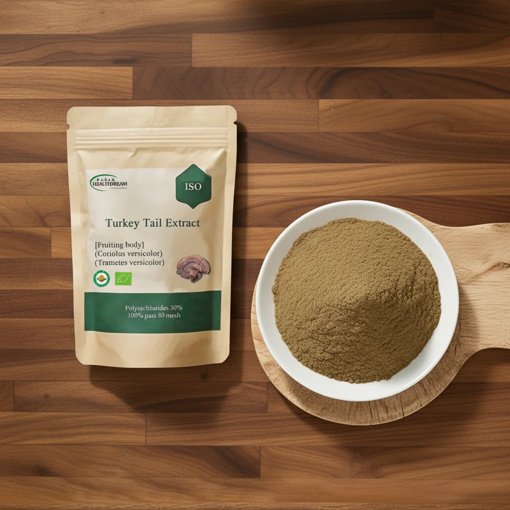 Turkey Tail Extract Fruiting Body Trametes Versicolor Mushroom Powder with 30% Polysaccharides Powder for Immune Support
